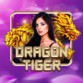 Dragon Tiger Nino Gaming APK